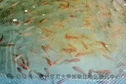 图片2 图片2