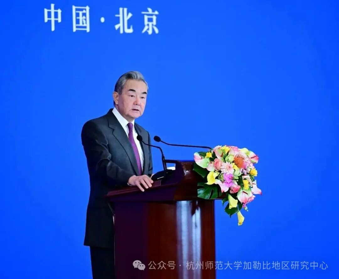 王毅在2025年国际形势与中国外交研讨会上的主旨发言